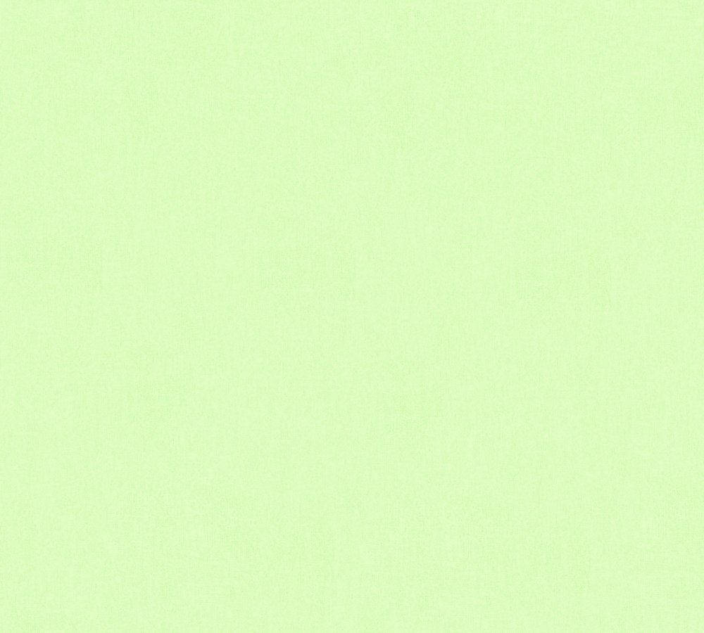Calm Plain Light Green Wallpaper