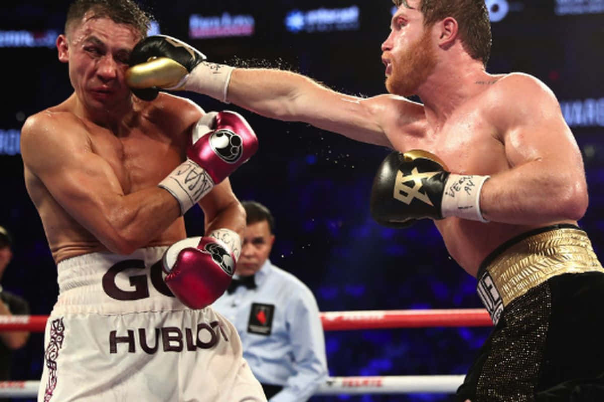 Canelo Alvarez Boxing Wallpaper