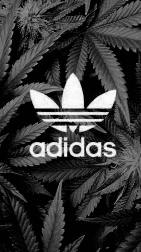 Cannabis Bush And Logo Adidas Iphone Wallpaper
