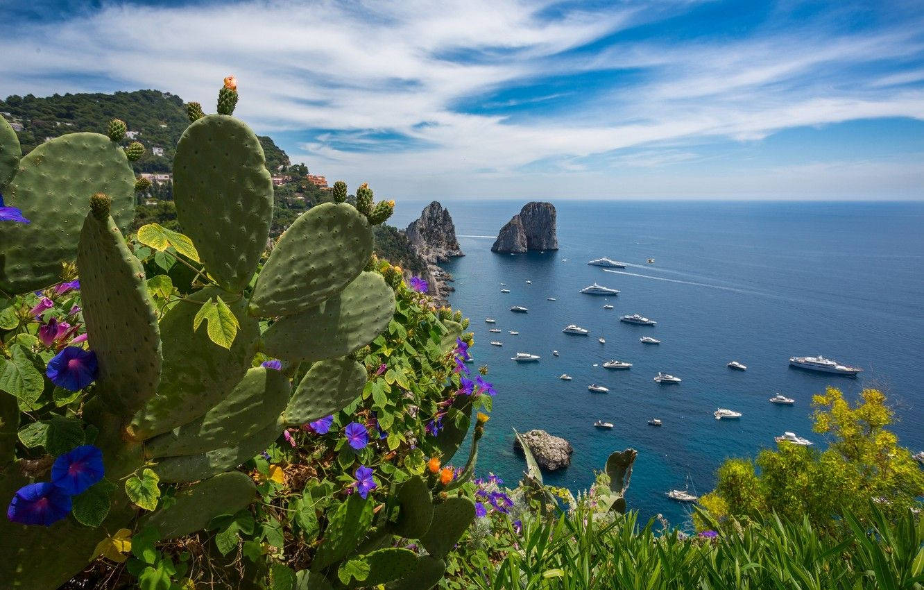 Capri Italy View Of Mediterranean Sea Wallpaper