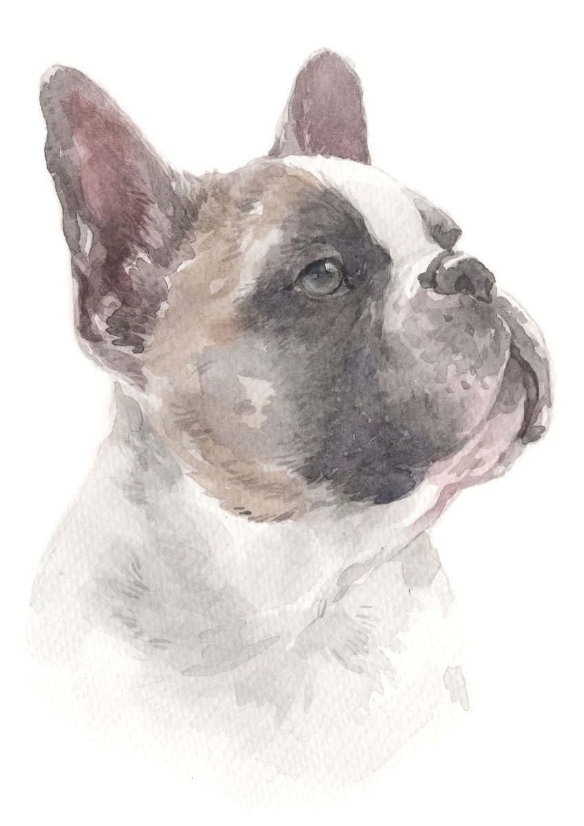 Caption: Artistic Watercolor Rendering Of A Charming French Bulldog Wallpaper