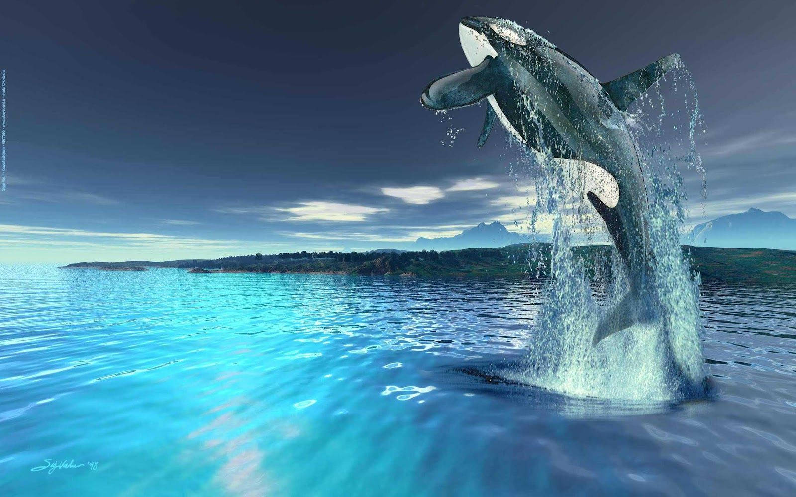 Caption: Breathtaking Snapshot Of A Majestic Whale In The Deep Blue Ocean Wallpaper