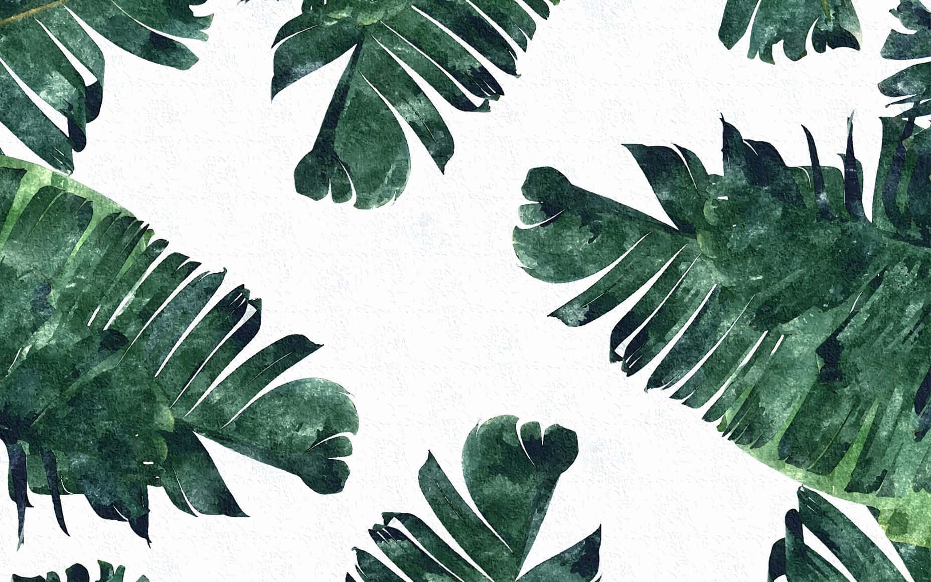 Caption: Embrace Nature's Simplicity Wallpaper