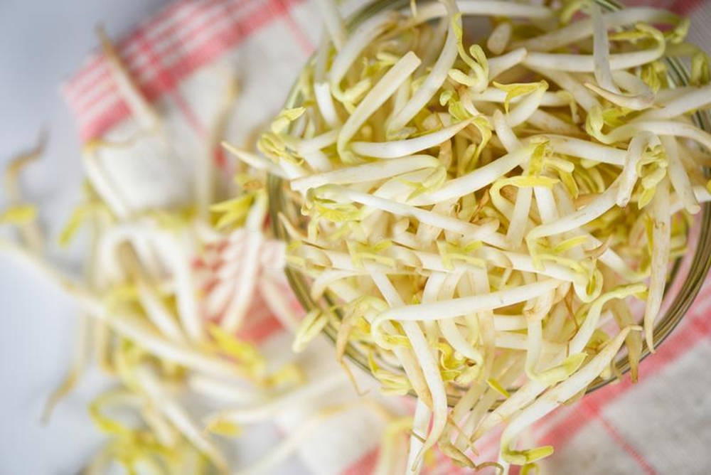 Caption: Fresh Green Mung Bean Sprouts In A Glass Bowl Wallpaper