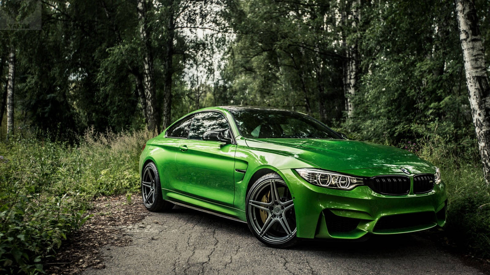 Caption: Majestic Green Bmw M4 Roaring Through The Forest Wallpaper