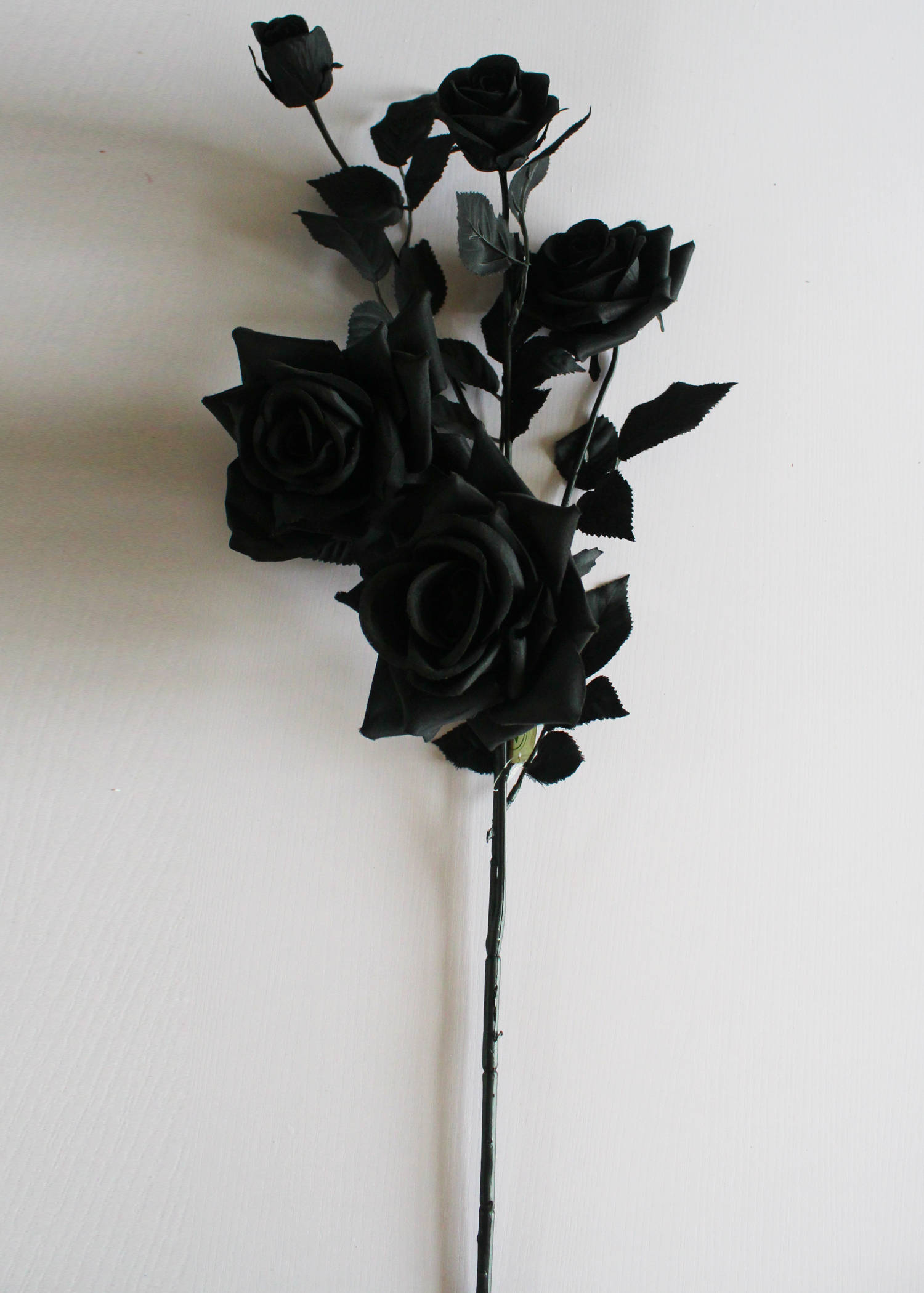 Caption: Mystic Beauty: Black Rose Iphone Wallpaper Wallpaper