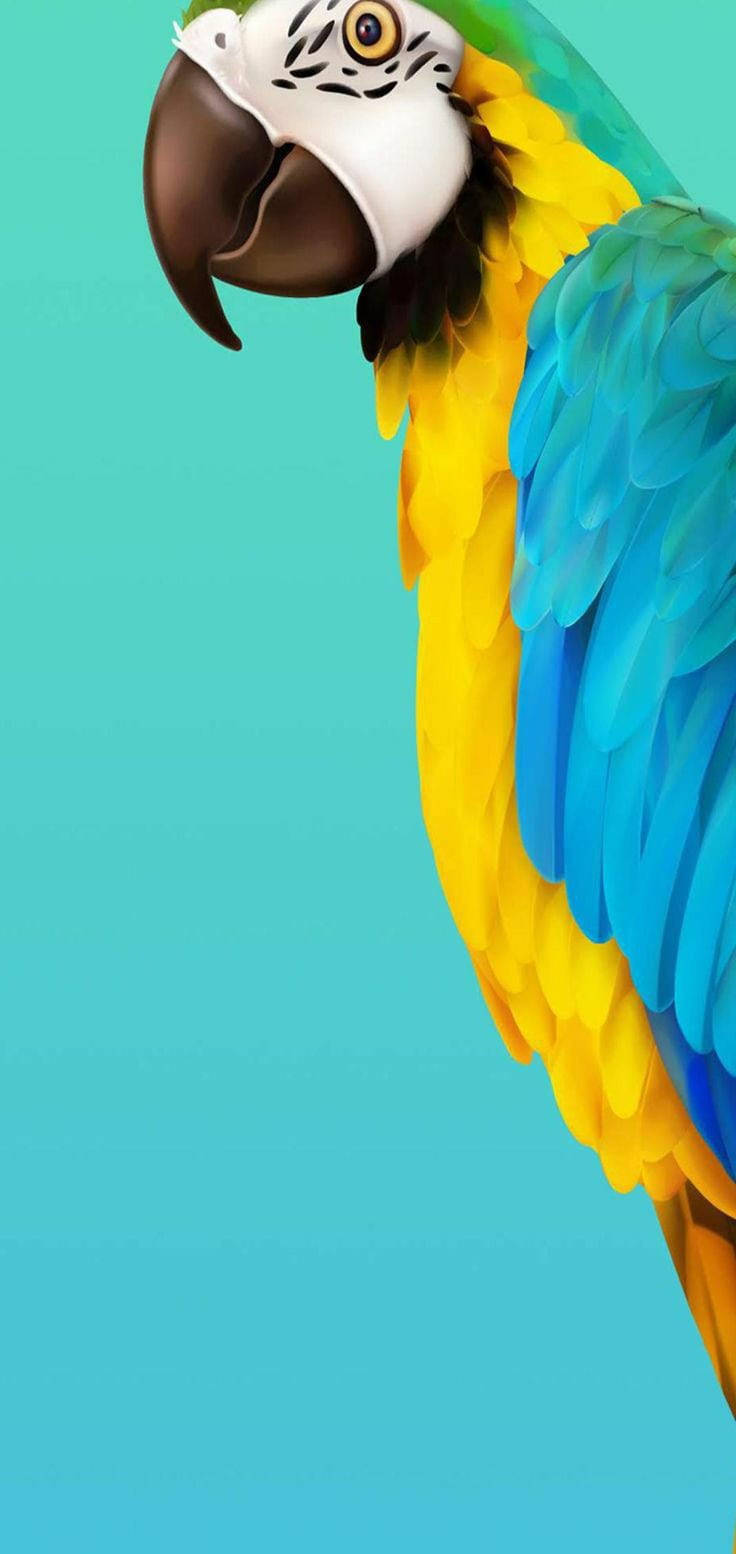 Caption: Stunning Parrot Art Display On Samsung S20 Fe Screen Wallpaper