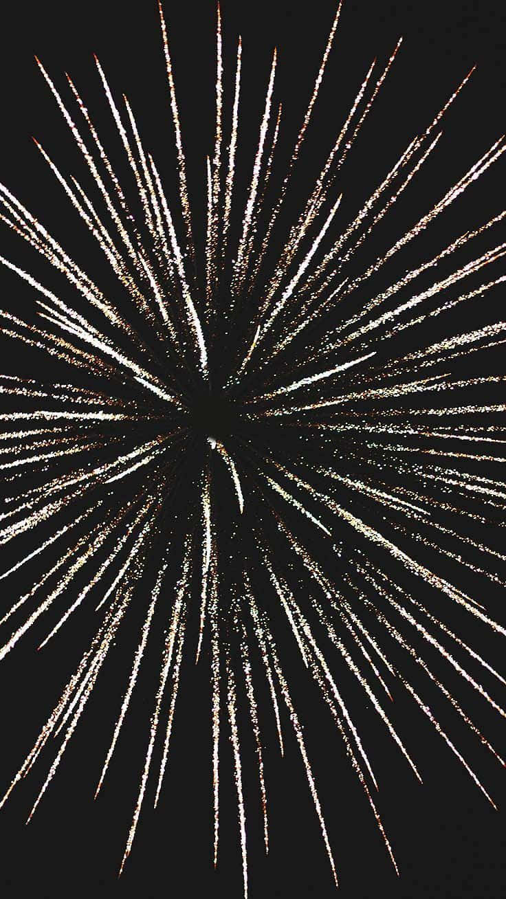 Captivating Black & White Aesthetic For Iphone Wallpaper