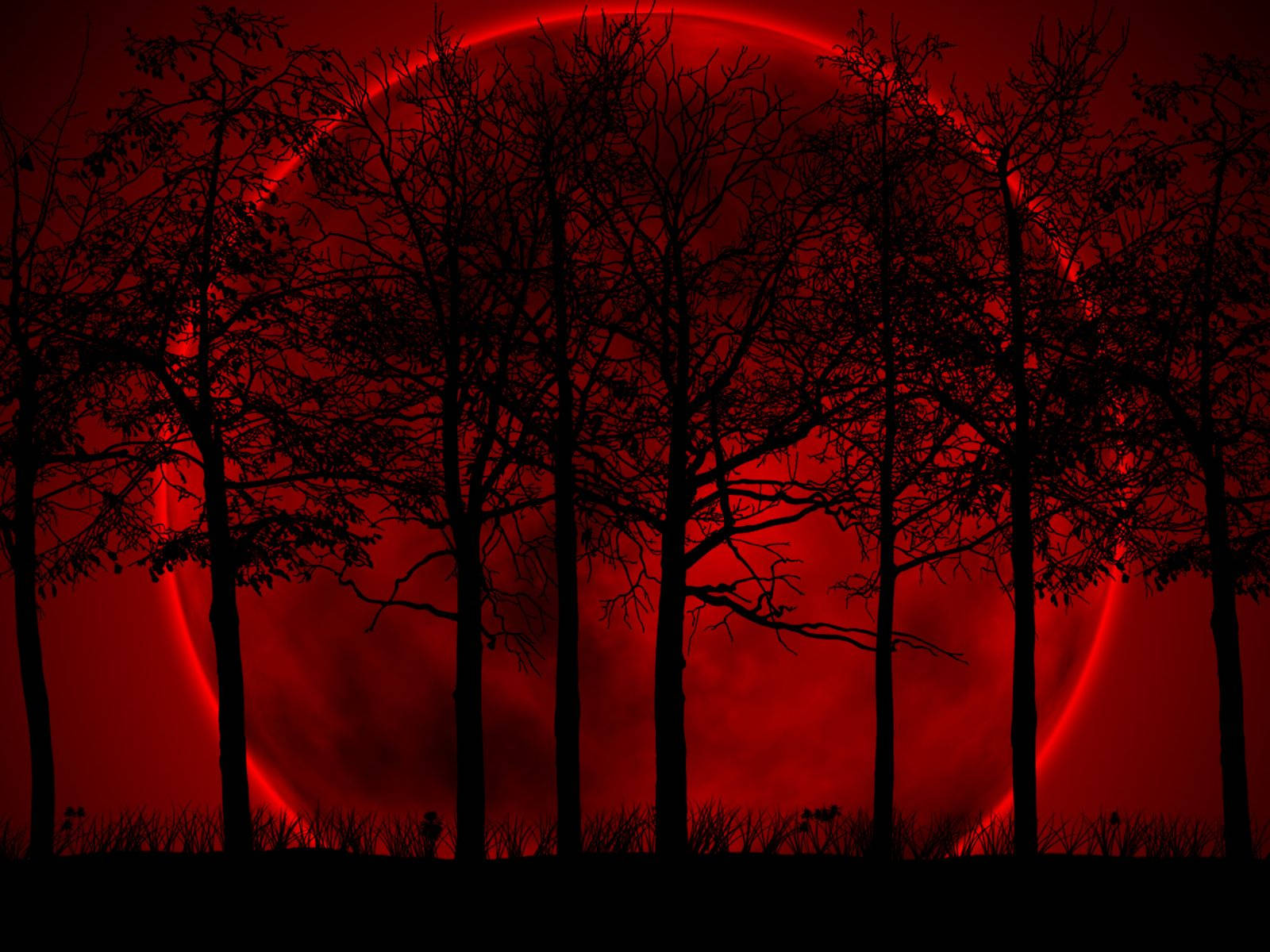 Captivating Red Moon Wallpaper