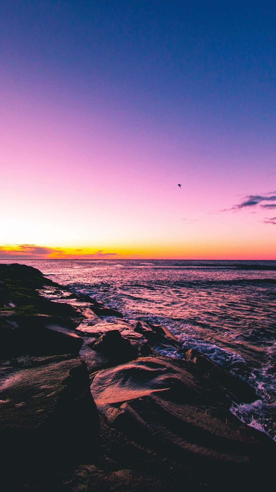 Capture Beautiful Moments Of A Perfect Sunset Beach On Your Iphone Wallpaper
