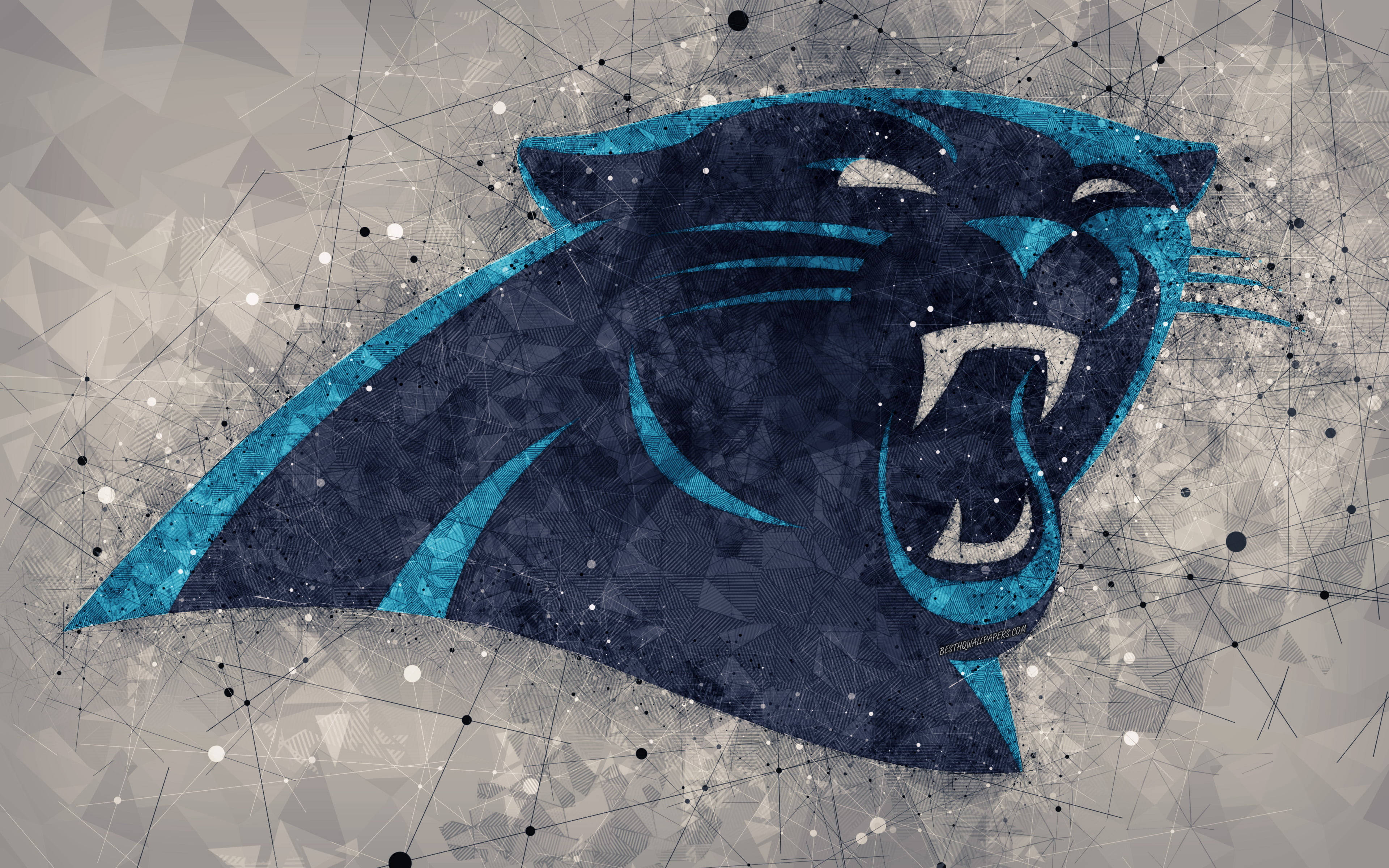 Carolina Panthers Logo Polygon Surface Wallpaper