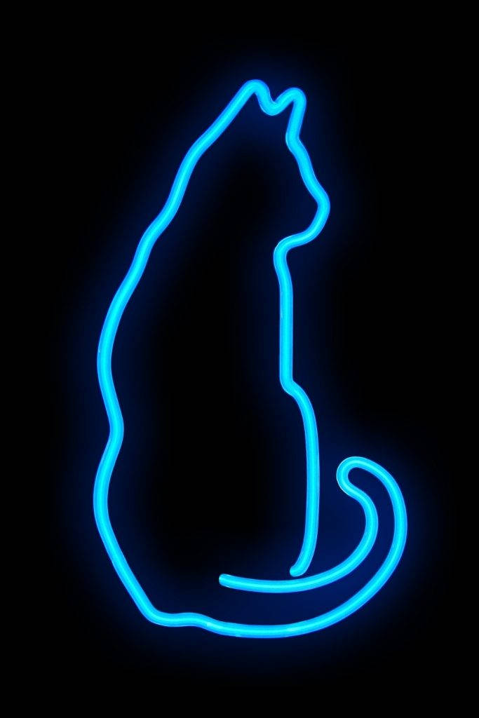 Cat In Cool Neon Blue Art Wallpaper