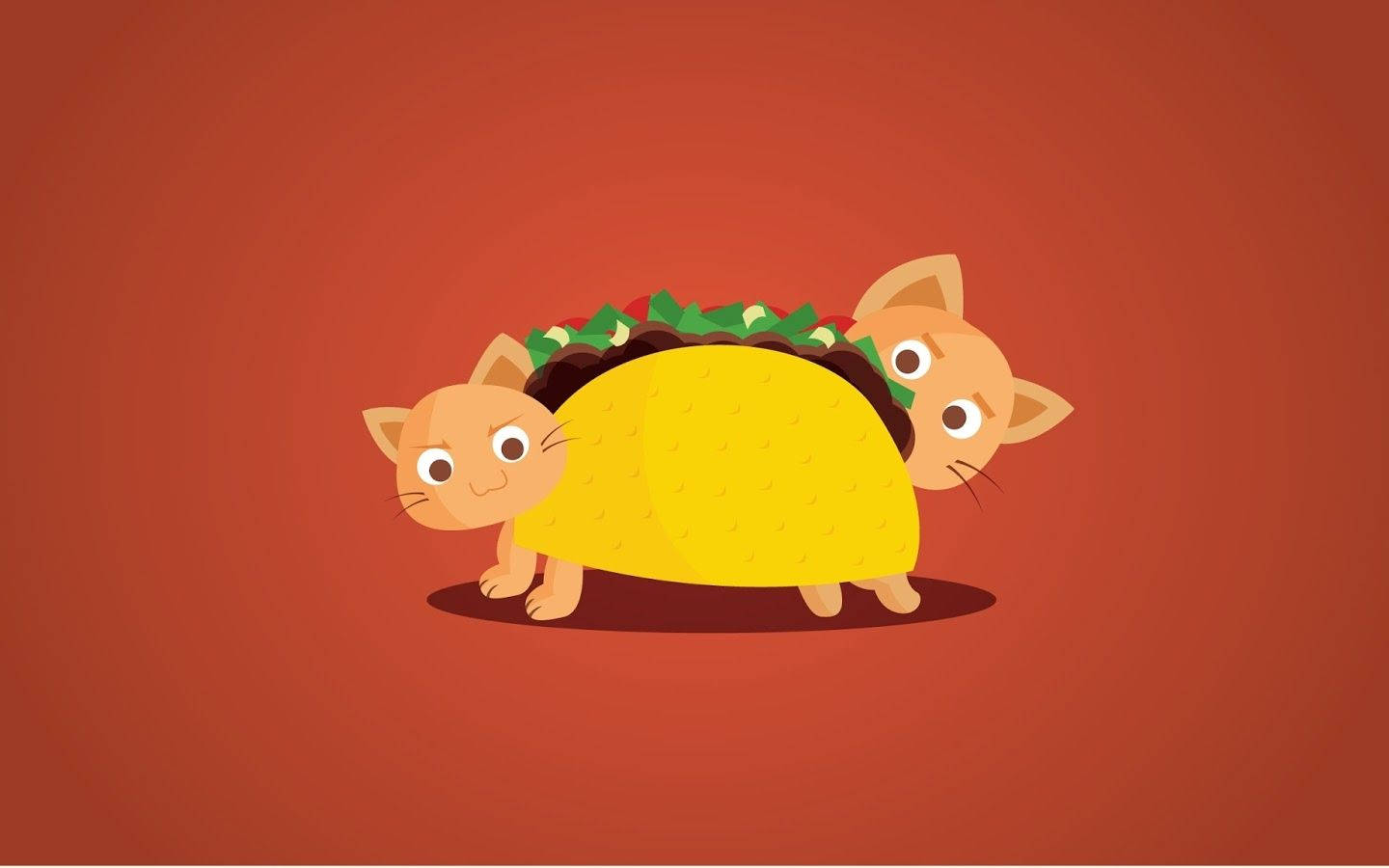 Cat Taco Cute Aesthetic Pc Wallpaper