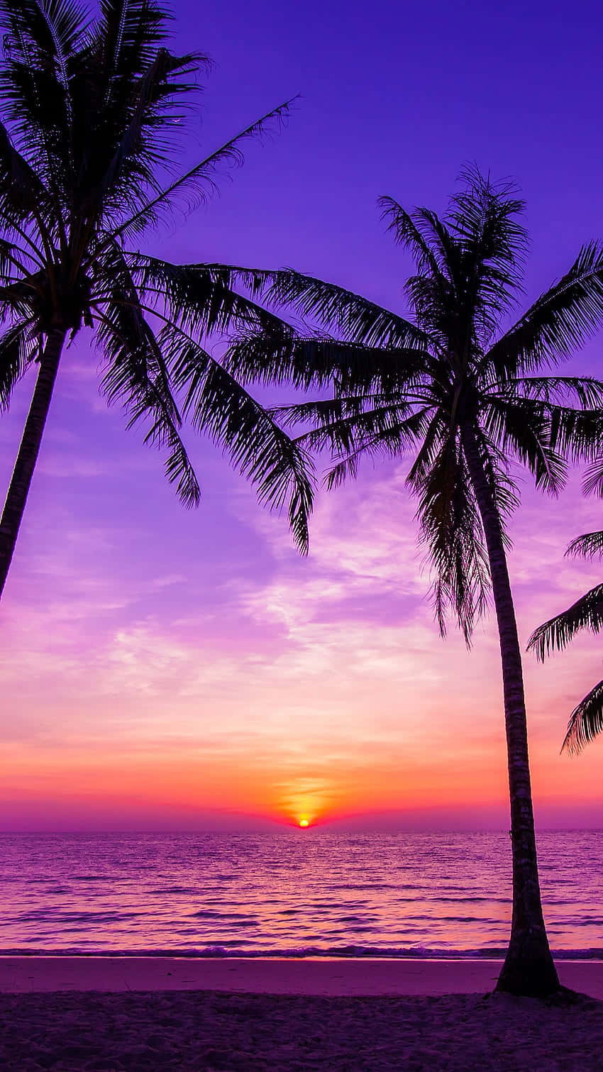 Catch The Perfect View Of A Cool Sunset. Wallpaper