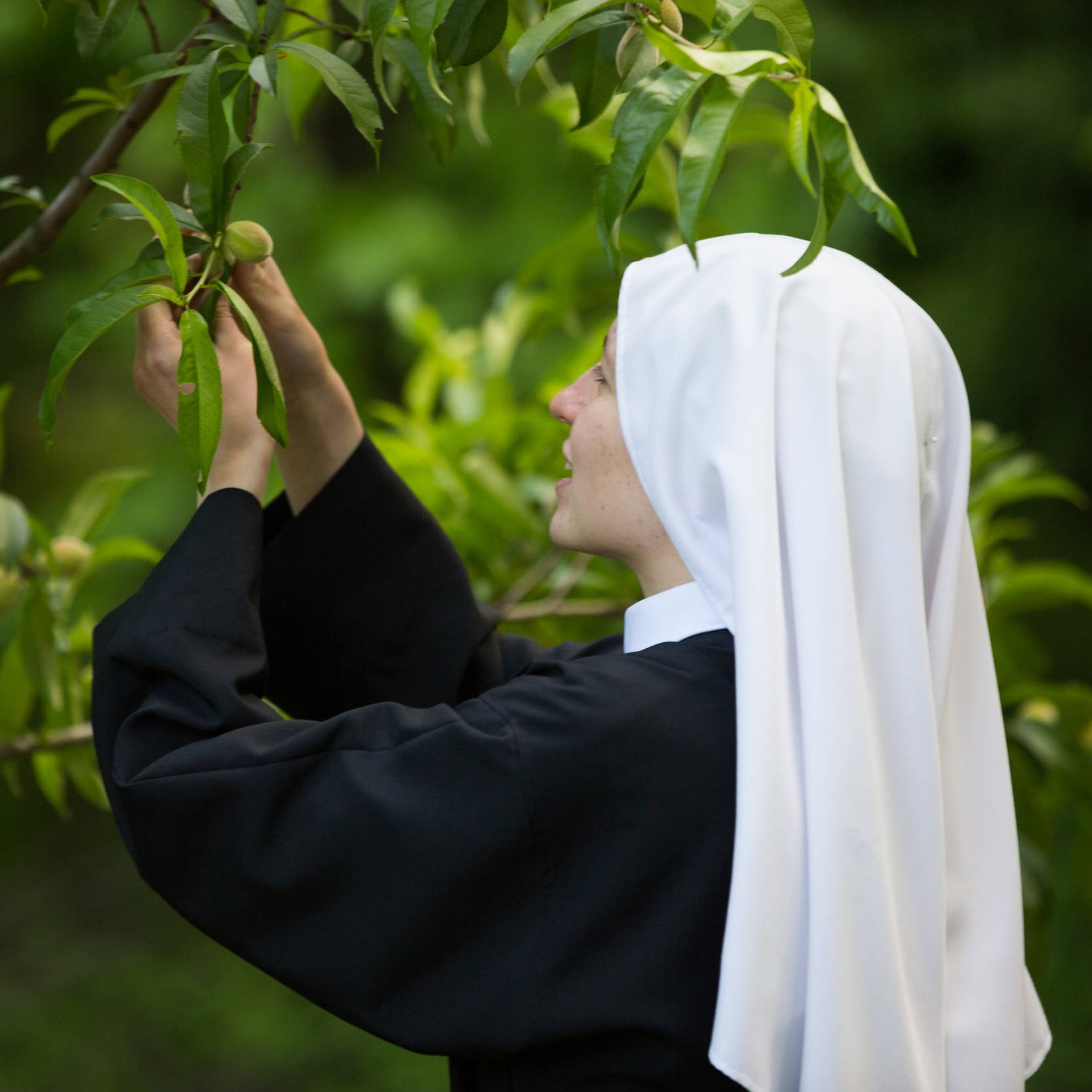 Catholic Nun Sister Wallpaper