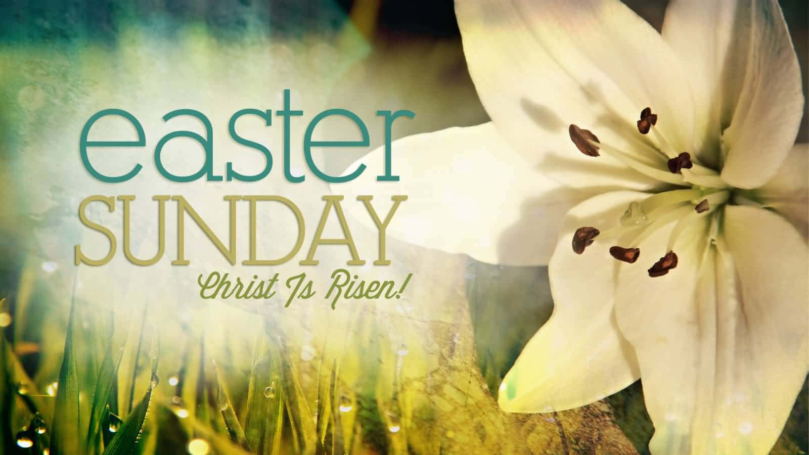Celebrate Easter With Faith And Joy Wallpaper