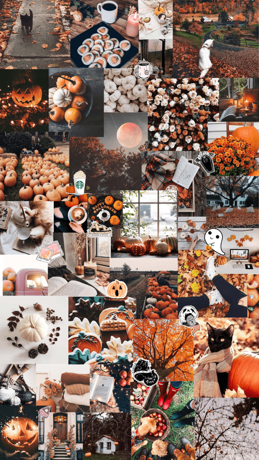 Celebrate Fall With A Rustic Collage Wallpaper