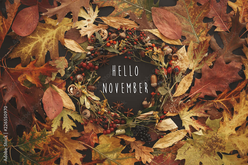 Celebrate The Beauty Of Fall Wallpaper