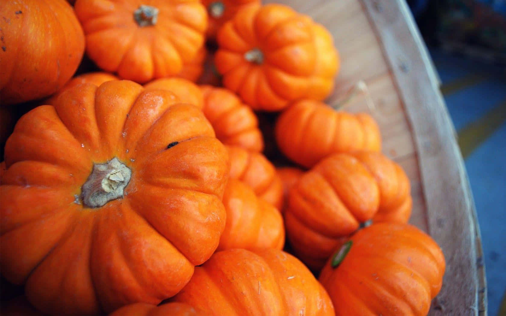 Celebrate The Season With A Carved Pumpkin. Wallpaper