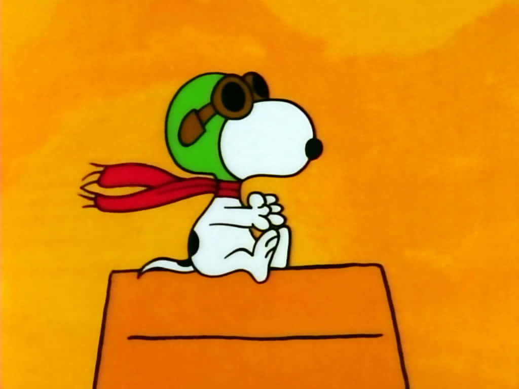 Celebrate The Special Day Of Everyone's Favorite Cartoon Character, Charlie Brown! Wallpaper