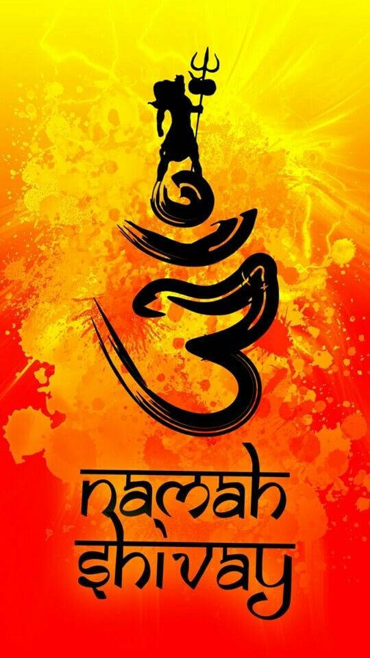 Celebrate The Twin Supreme Energies Of Shiva And Shakti - Om Namah Shivaya Wallpaper