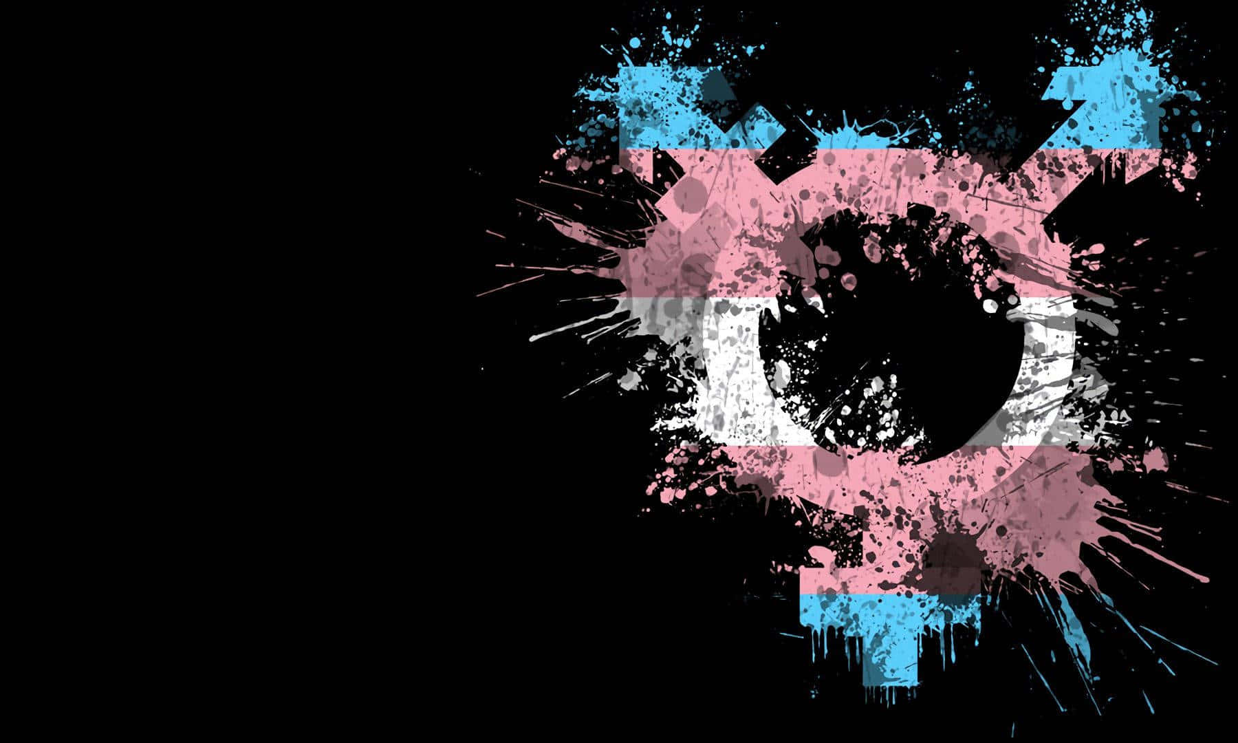 Celebrate Transgender Pride With The Trans Flag! Wallpaper