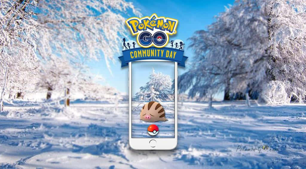 Celebrating Swinub, The Ice-ground Pokémon, On Community Day Wallpaper