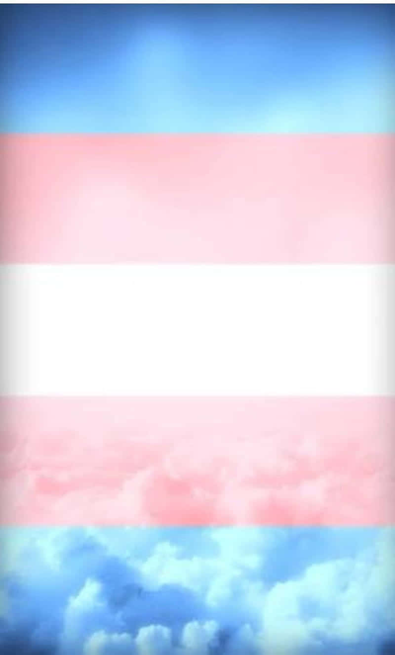 Celebratory Trans Flag Wallpaper