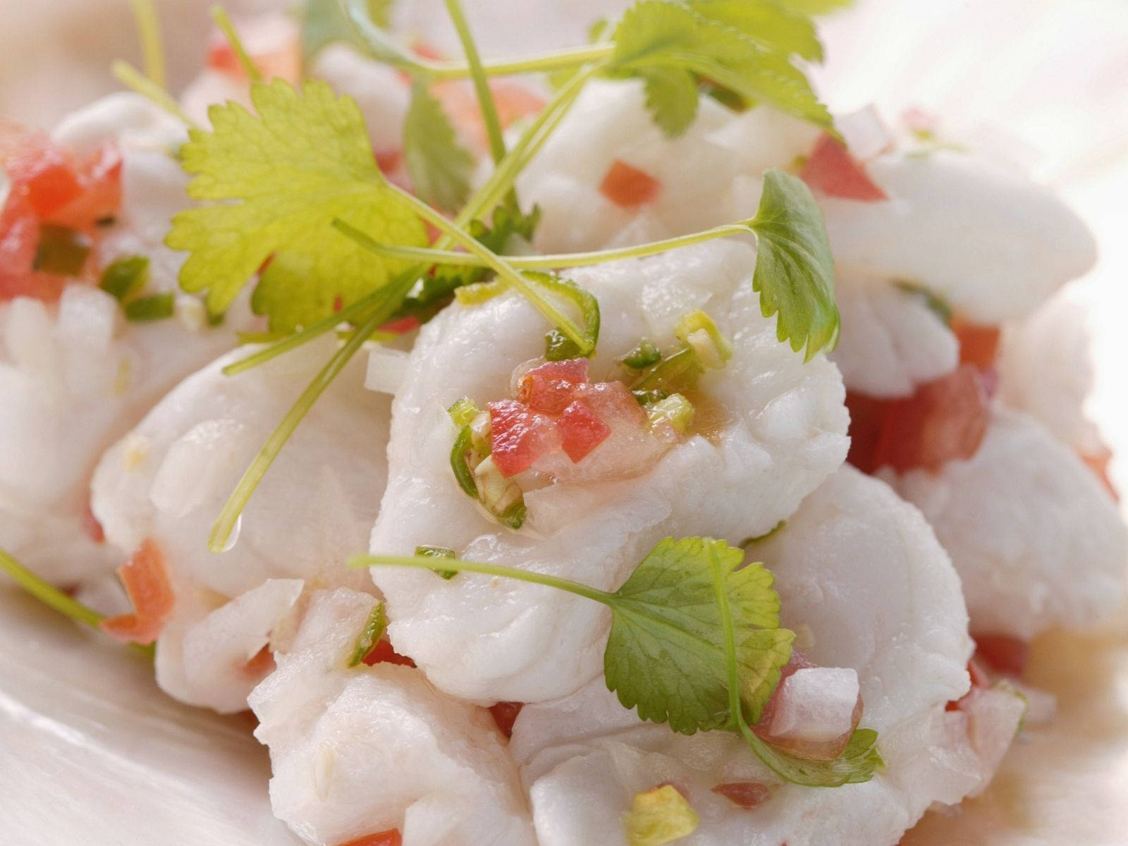 Ceviche Raw Fish Meat Close-up Wallpaper