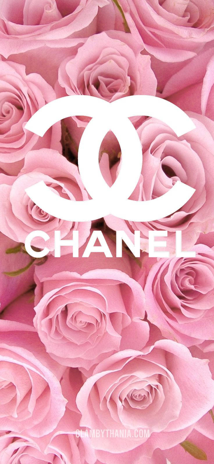 Chanel Roses Girly Iphone Wallpaper