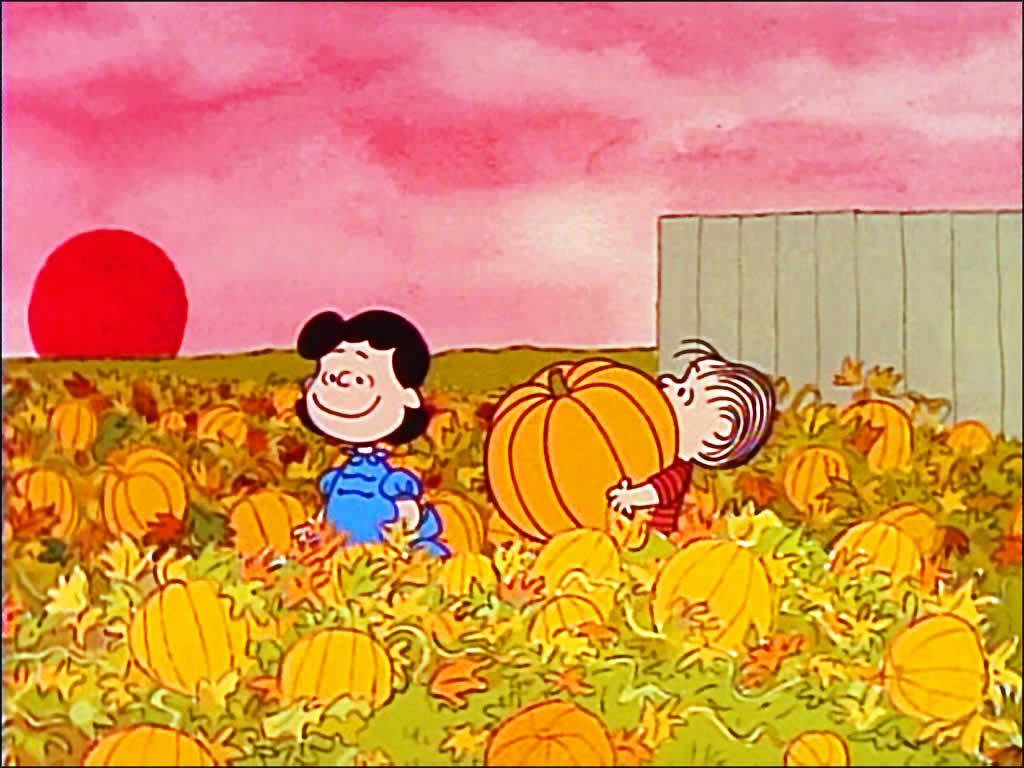 Charlie Brown Picking Pumpkins Wallpaper
