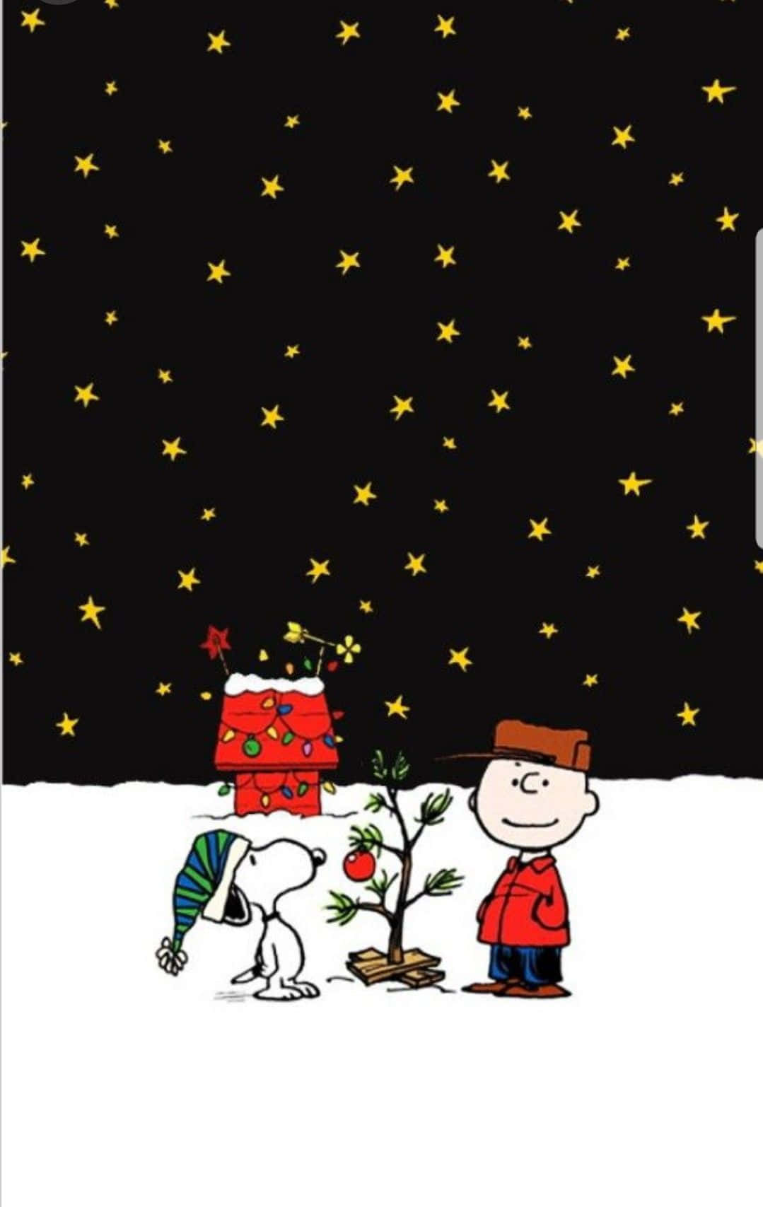 Charlie Brown Starry Christmas Night Wallpaper