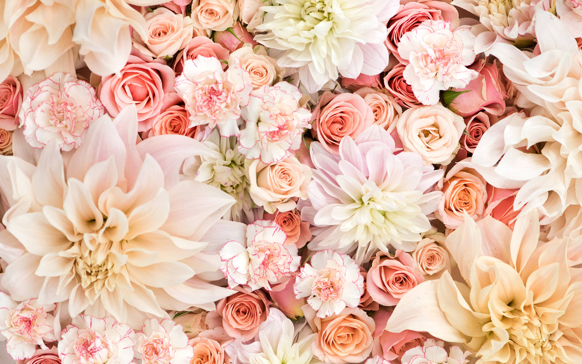 Charming Floral Pastels Aesthetic On A Computer Monitor Wallpaper
