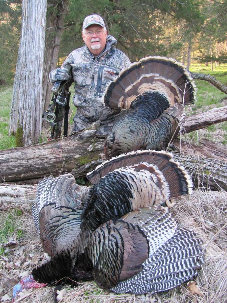 Chasing Gobblers In The Early Morning Wallpaper