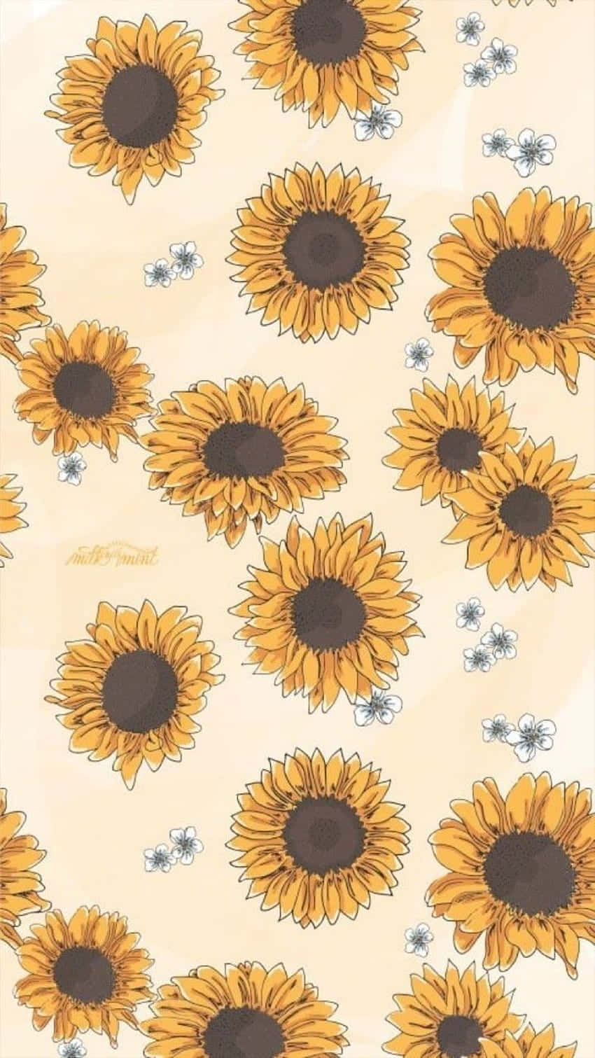 Cheerful Yellow Sunflowers To Brighten Your Day! Wallpaper