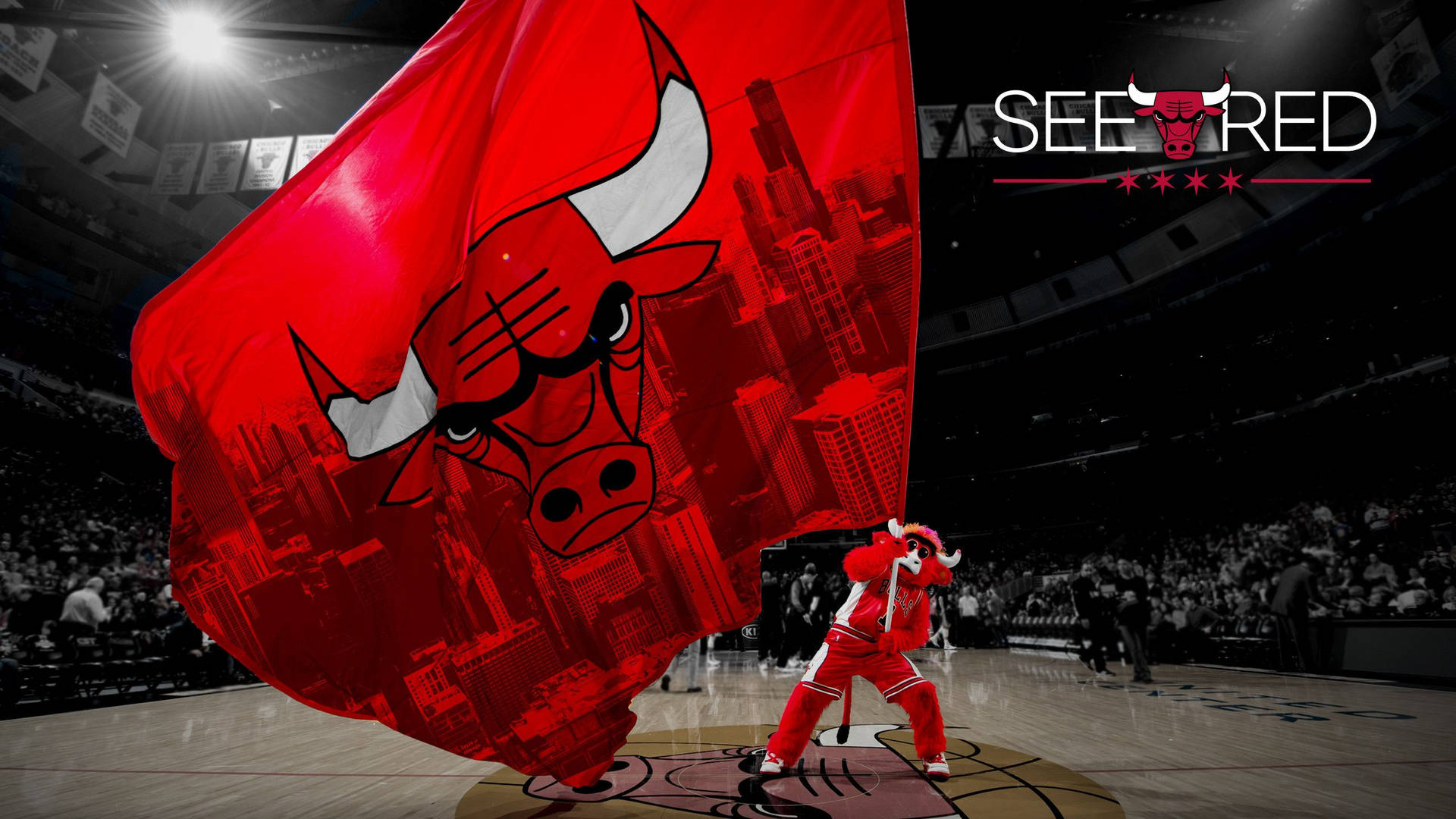 Chicago Bulls, HD wallpaper