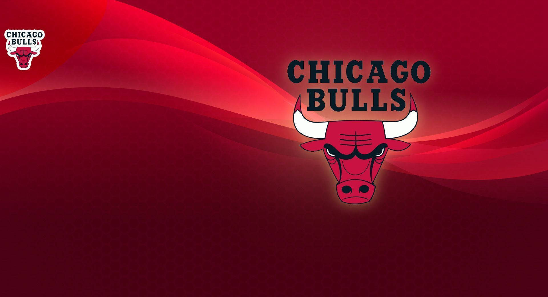 chicago bulls windy city wallpaper logo