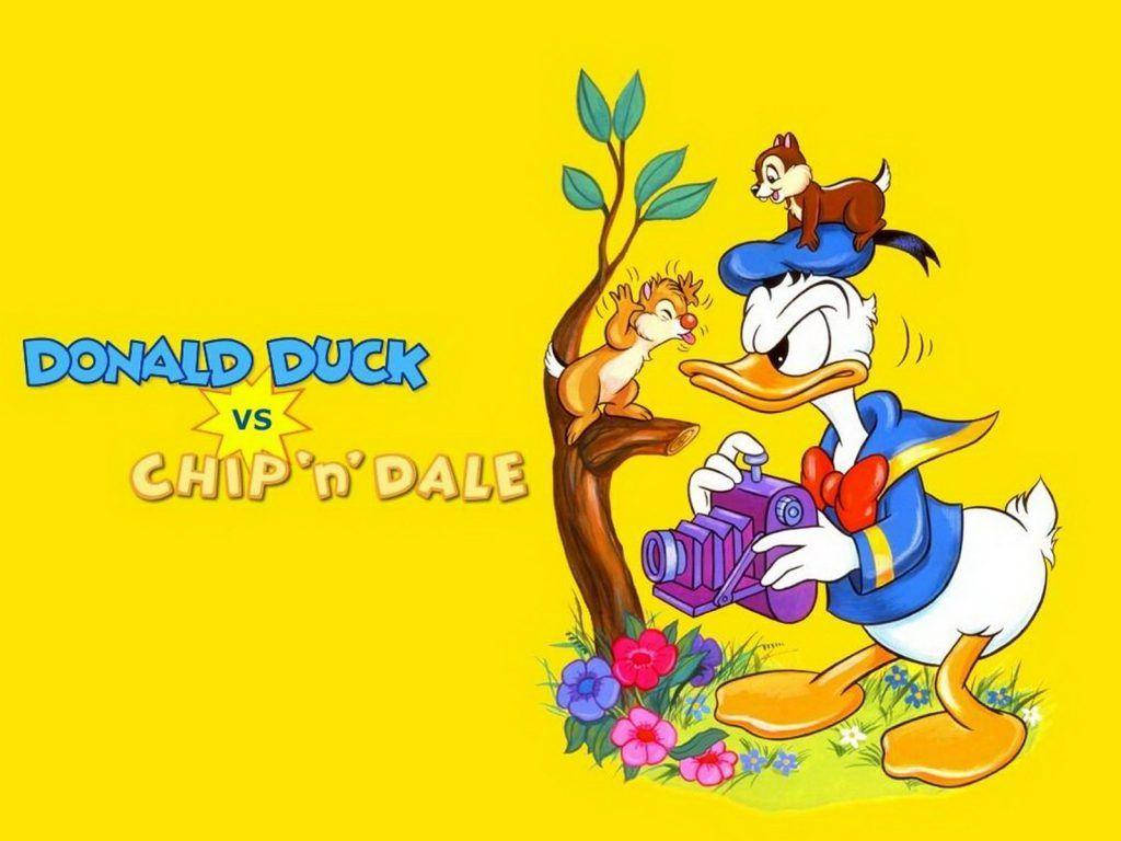 Chip N Dale On Yellow Background Wallpaper