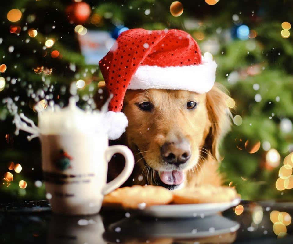 Christmas Dog With Cookies And Egg Nog Wallpaper