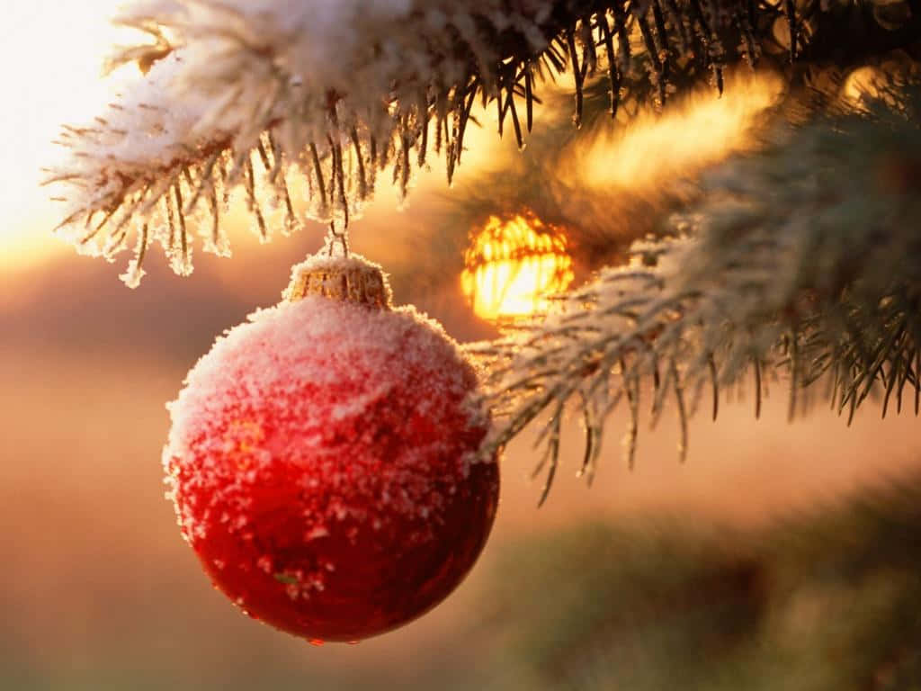 Christmas Ornament Hanging On A Tree Branch Wallpaper