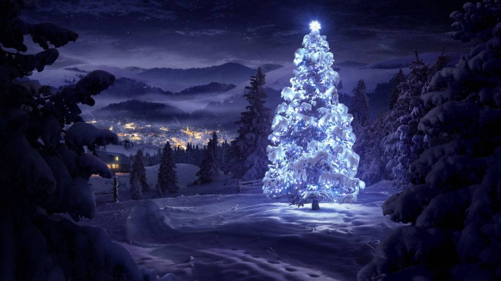 Christmas Tree Night 4k Desktop Wallpaper