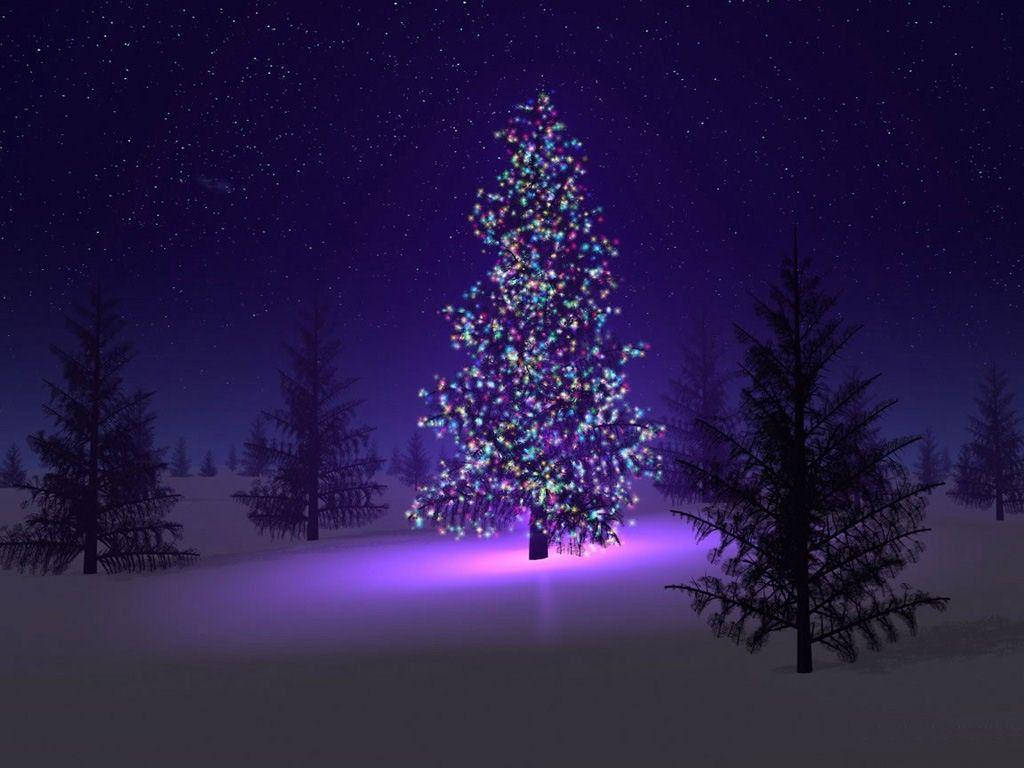 Christmas Tree With Pretty Purple Lights Wallpaper