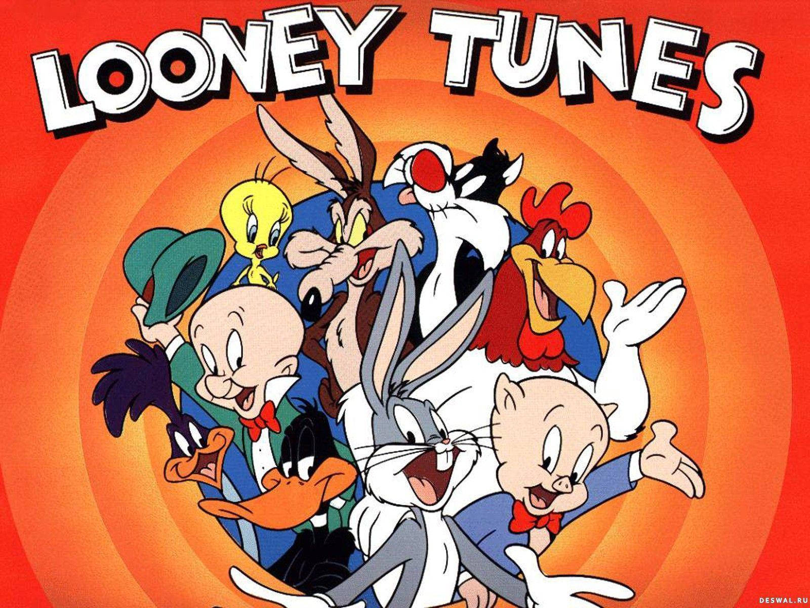 Classic Looney Tunes Cartoon Network Characters Wallpaper