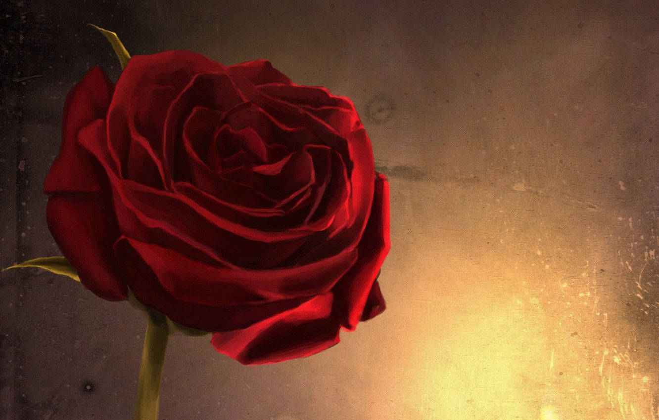 Close-up Red Rose Aesthetic Wallpaper