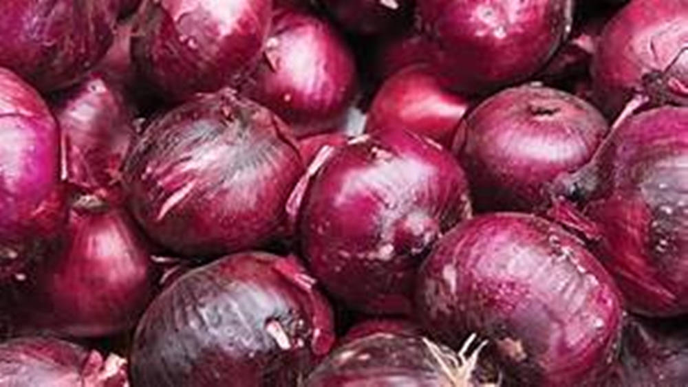 Close-up Shot Of Harvested Red Onions Wallpaper