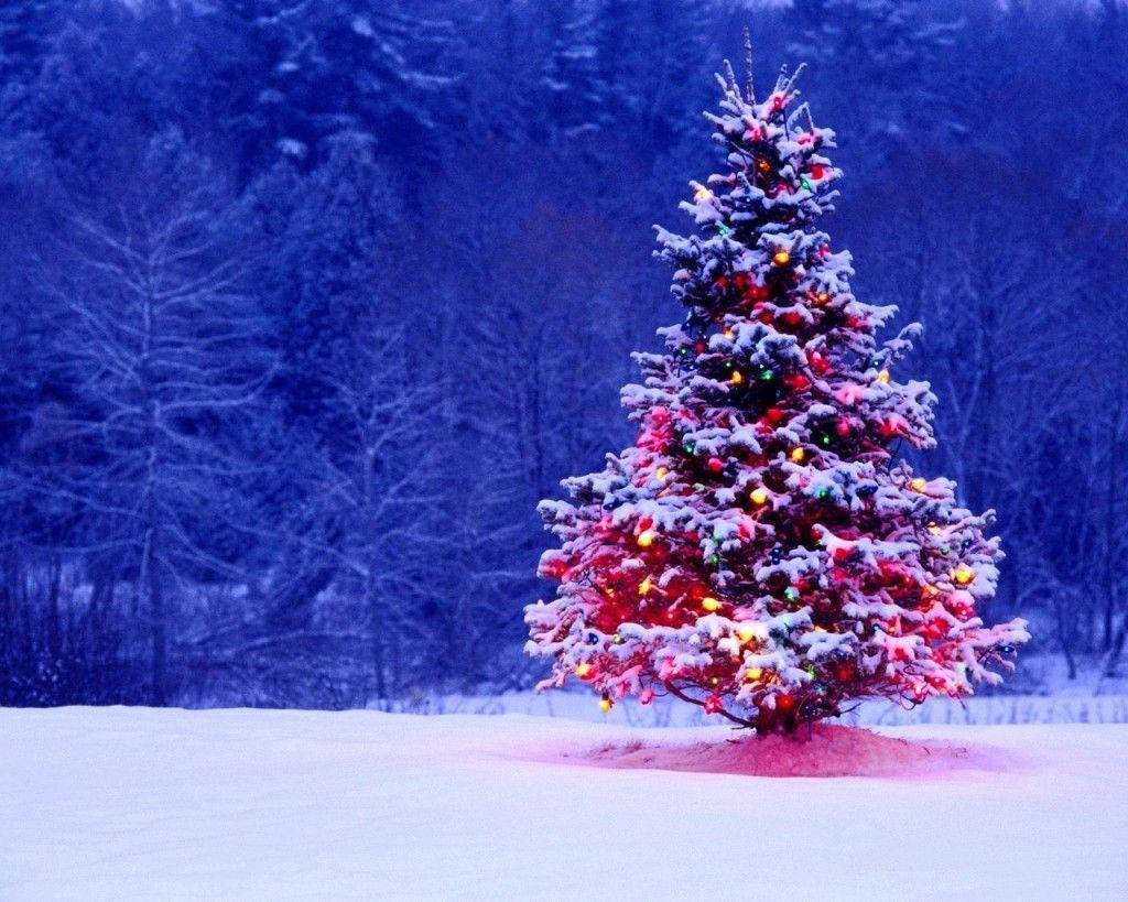 Colorful Christmas Tree On Blue Forest Wallpaper