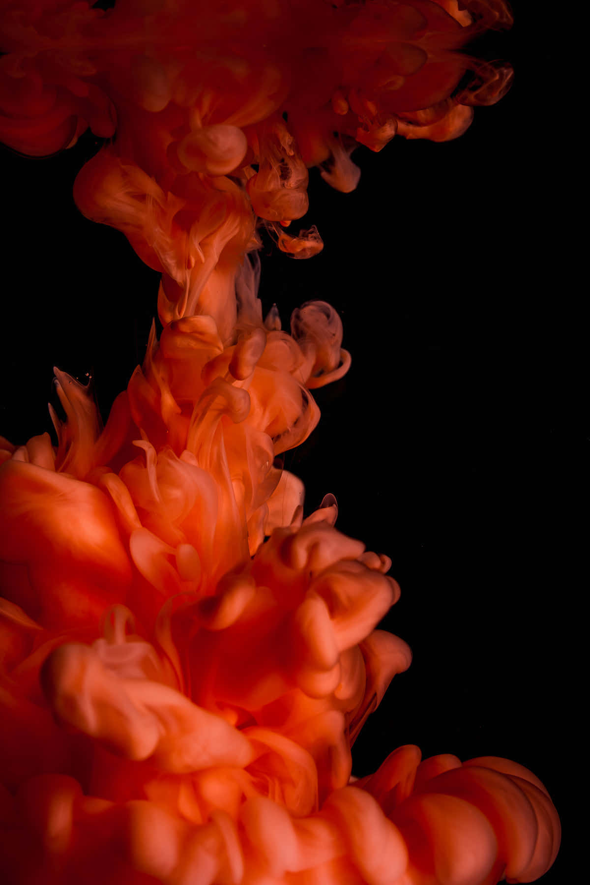 Colorful Duo - Red And Orange Wallpaper
