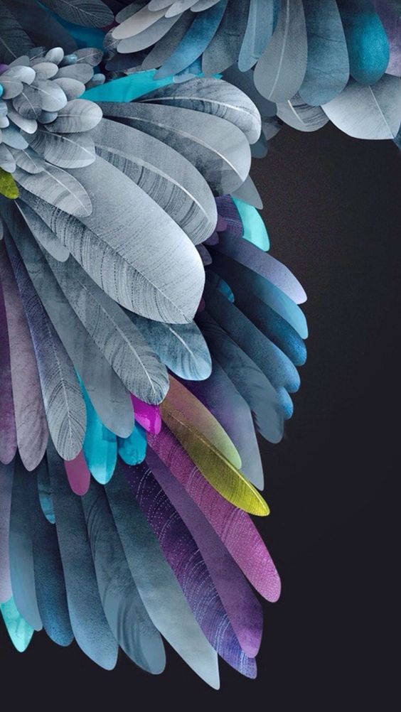 Colorful Feathers Iphone 11 Wallpaper