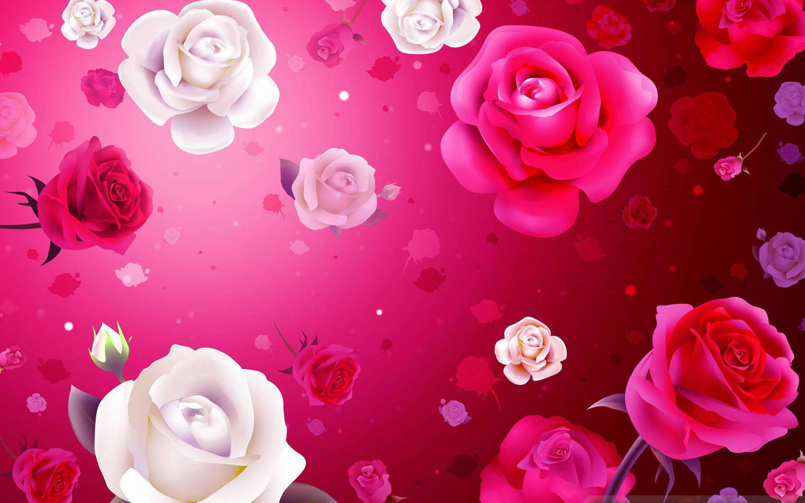 Colorful Roses For Valentine's Day Wallpaper
