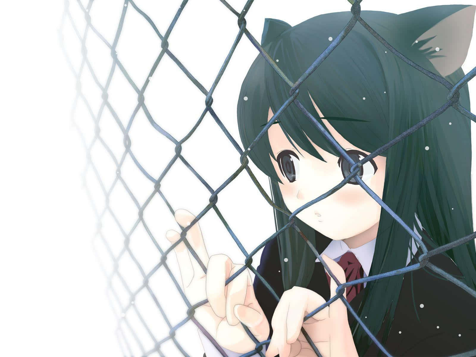 Contemplative Anime Cat Girl Behind Fence Wallpaper